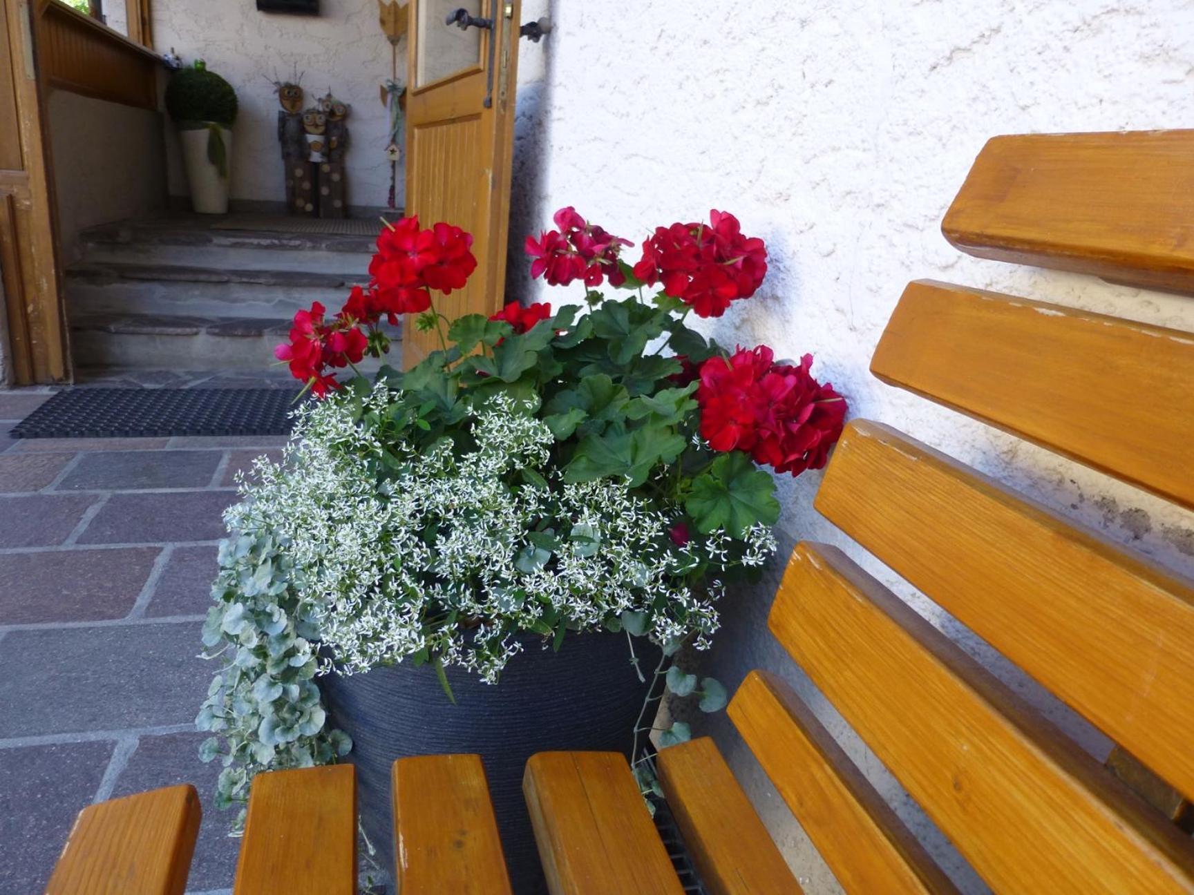 Garni Helfer Bed & Breakfast Dobbiaco Exterior foto