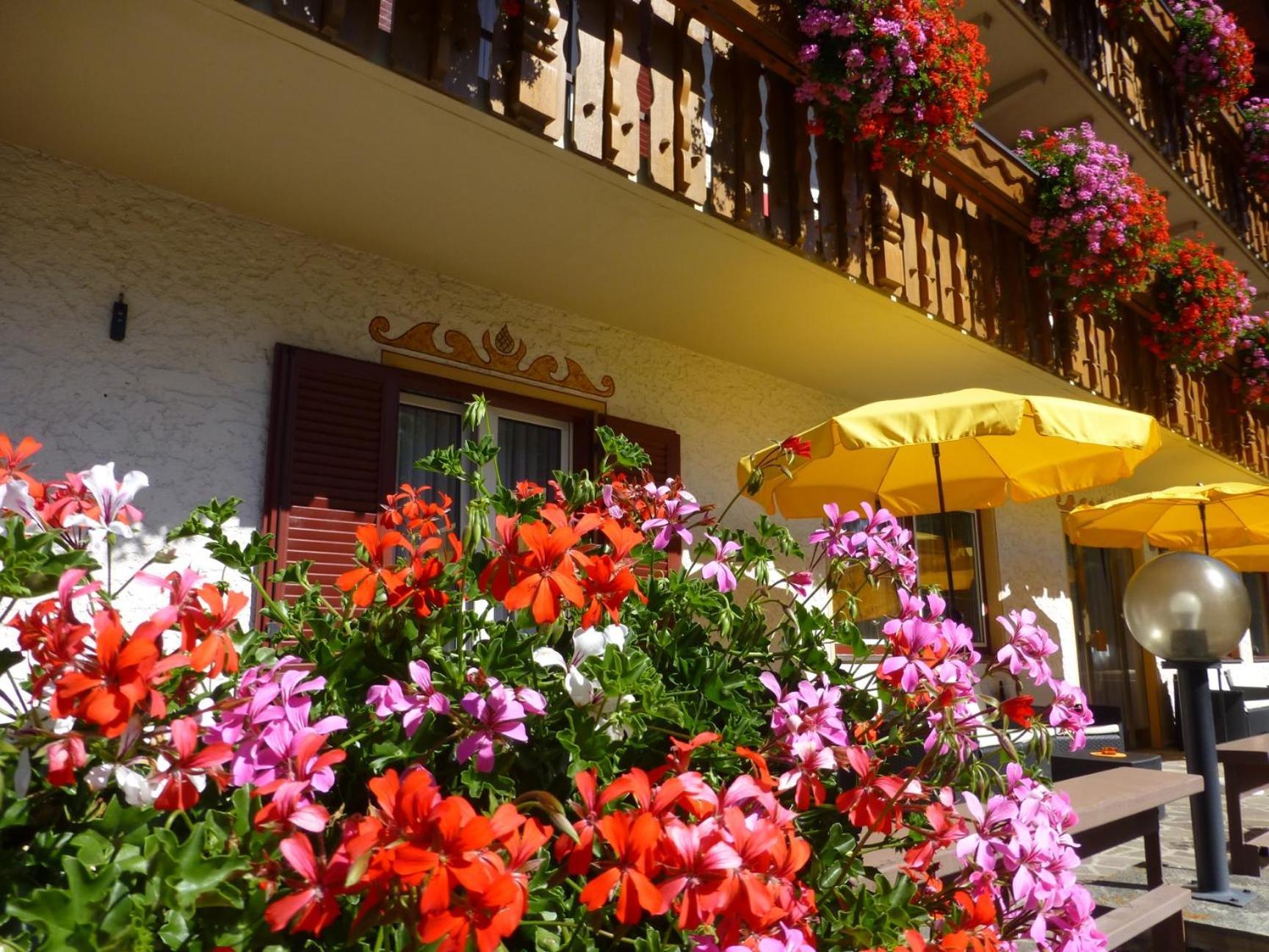 Garni Helfer Bed & Breakfast Dobbiaco Exterior foto