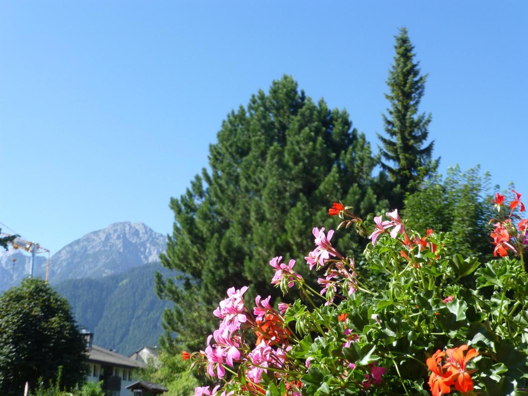 Garni Helfer Bed & Breakfast Dobbiaco Exterior foto